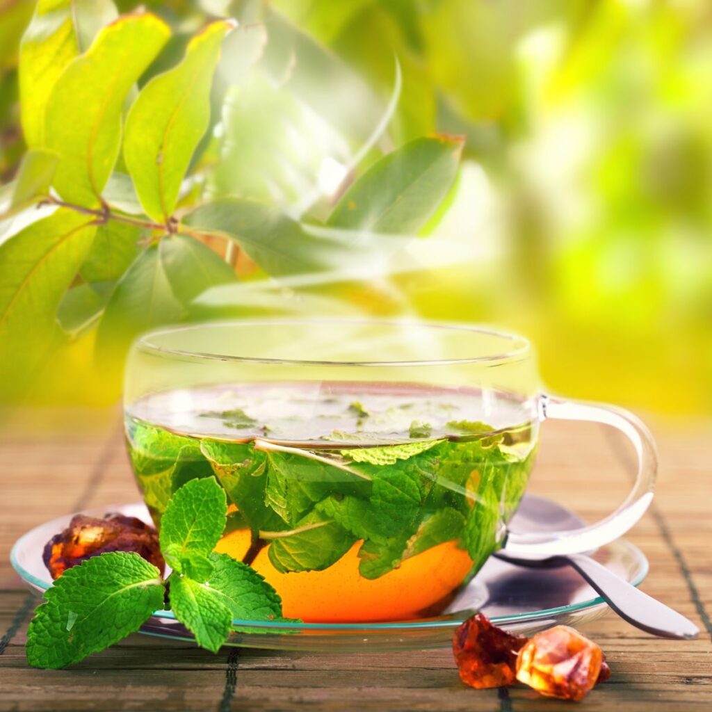 clear glass of tea with peppermint leaves around it