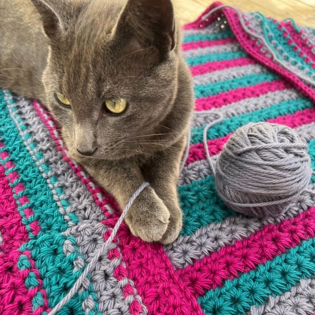 george looking off in the distance with a string of yarn between his paws